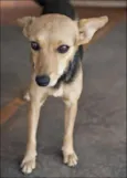 Encontrada