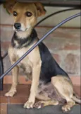 Encontrada