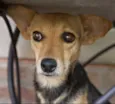 Encontrada