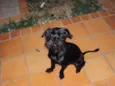 Teiga