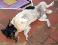 Encontrada