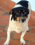 Encontrada