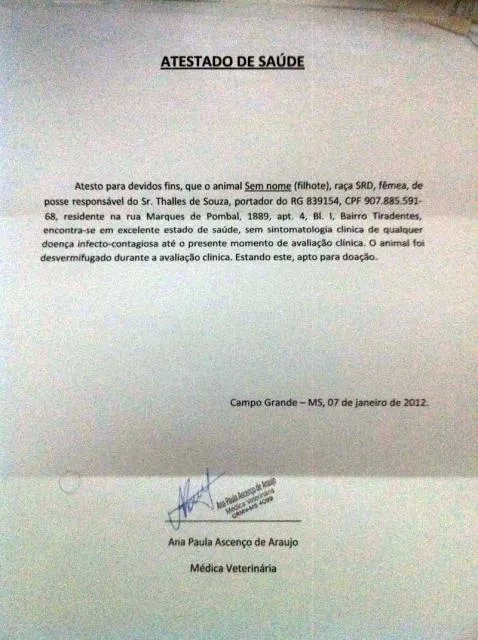 Cachorro ra a SRD idade Abaixo de 2 meses nome Novinha com Atestado