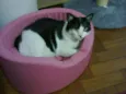 Zen