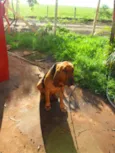 Sam