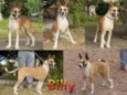 BILLY