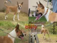 BILLY