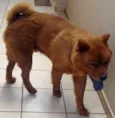 YUKI