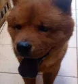 YUKI
