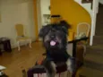 Zequinha