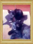 Fofinha e Lindinha