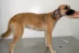 VITÓRIA