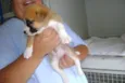 bebê
