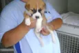 bebê