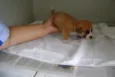 bebê
