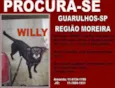 WILLY