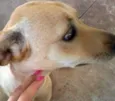 ENCONTRADA