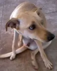 ENCONTRADA