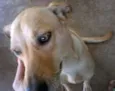 ENCONTRADA