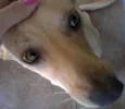 ENCONTRADA