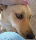 ENCONTRADA