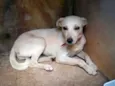 Esperança