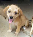 SARITA