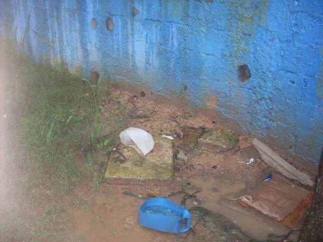 Cachorro ra a SRD idade 3 anos nome peludinho, braquinh