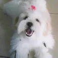 AMY