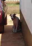 Pit Linda