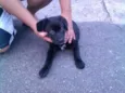 Desconhecido