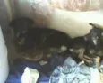 Mãe e Filha