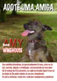 Amy