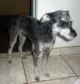 THUTHUCO