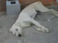 TEKA