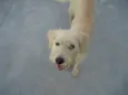 TEKA