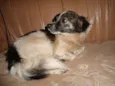 ENCONTRADA