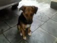 Leopoldo