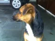 Leopoldo