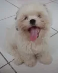 Nick