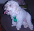 Jack 