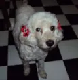 Encontrada