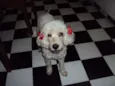 Encontrada