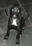 Preta