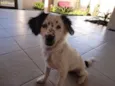 Bob