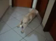 Tobi