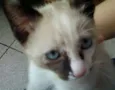 Filhinha