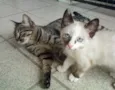 Filhinha