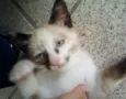 Filhinha