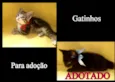 Não tem nome